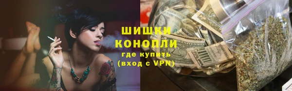 ALPHA PVP Инсар